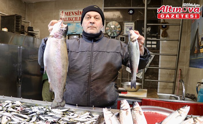 Trabzon'da hamsi azalınca vatandaşlar somona yöneldi