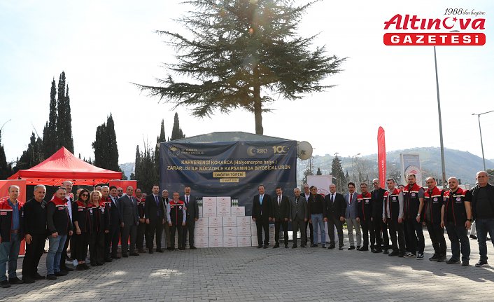 Trabzon'da kahverengi kokarca zararlısıyla mücadele sürüyor