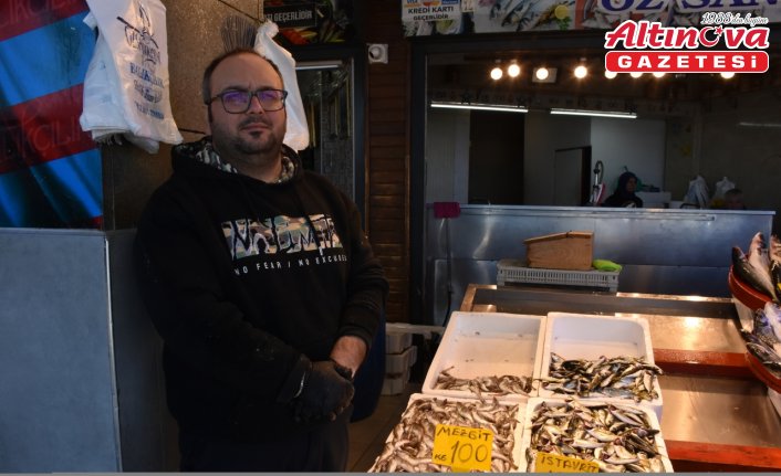 Trabzon'da hamsinin yerini mezgit ve istavrit aldı