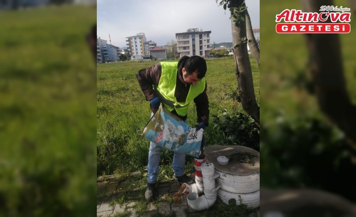 19 Mayıs Belediyesi’nden sahipsiz hayvanlara mama desteği