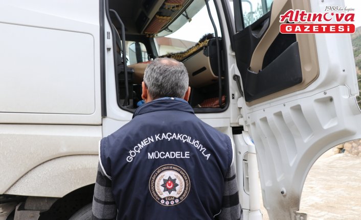 Amasya'da canlı hayvan taşıyan tırlarda 5 düzensiz göçmen yakalandı