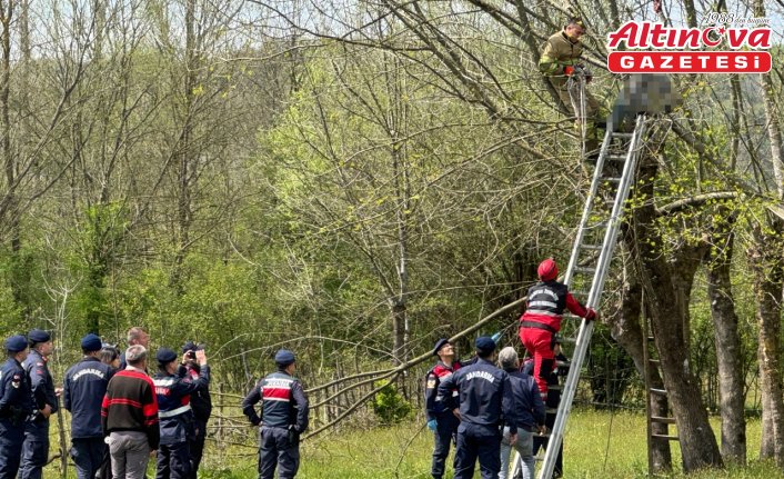 Bartın'da budamak için çıktığı ağaçta fenalaşan kişi öldü