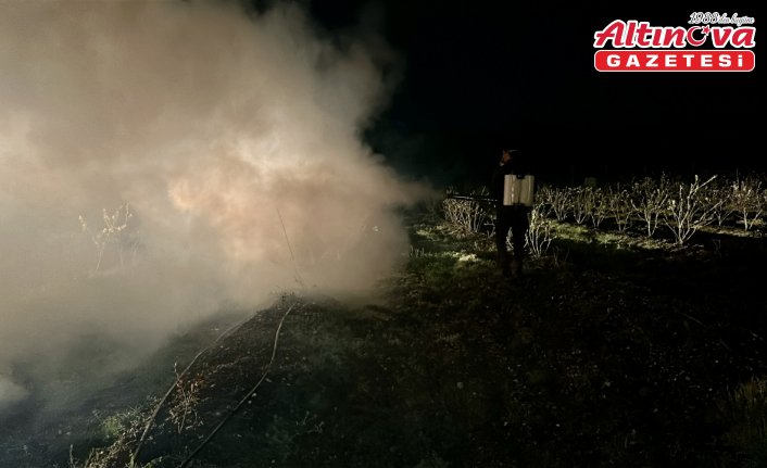 Düzce'de tropikal meyve üreticisi zirai don riskine karşı nöbette