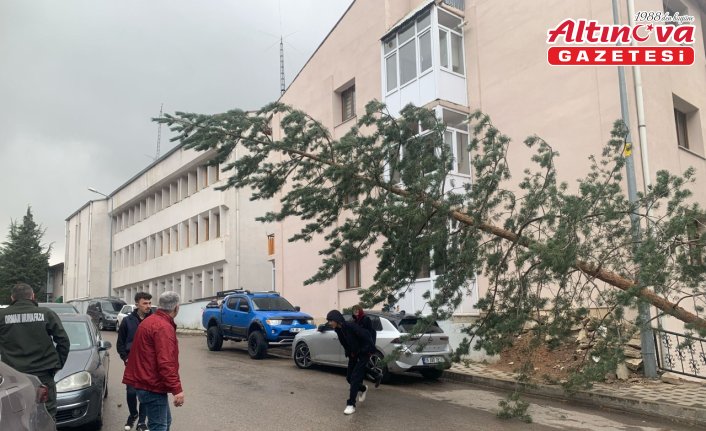 Gümüşhane'de fırtına etkili oluyor