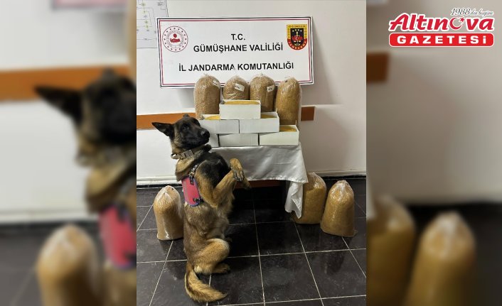 Gümüşhane'de gümrük kaçağı tütün ele geçirildi