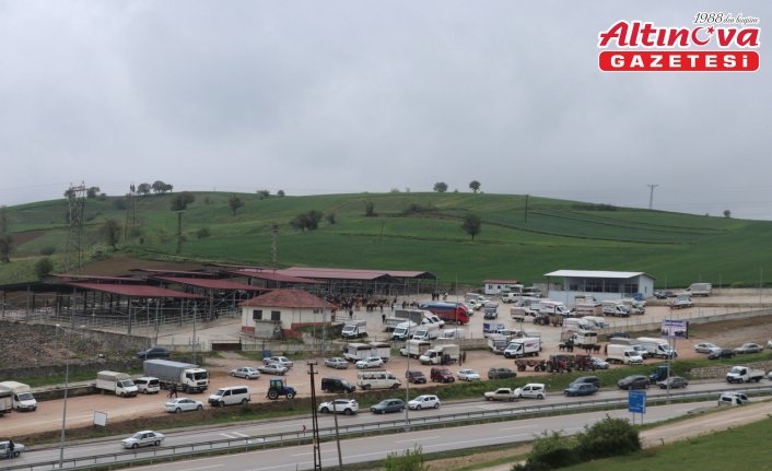 Havza canlı hayvan pazarı açıldı