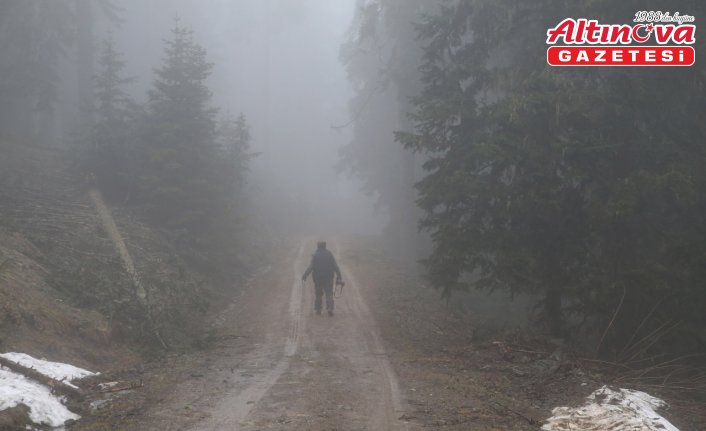 Ilgaz Dağı'nda sis etkili oldu
