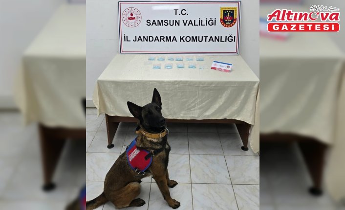Kanepeye gizlenen uyuşturucu “Benek“in hassas burnundan kaçmadı