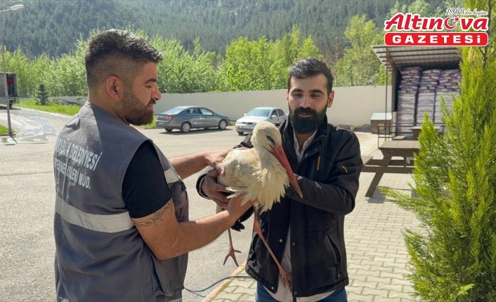 Karabük'te bitkin halde bulunan leylek tedavi altına alındı