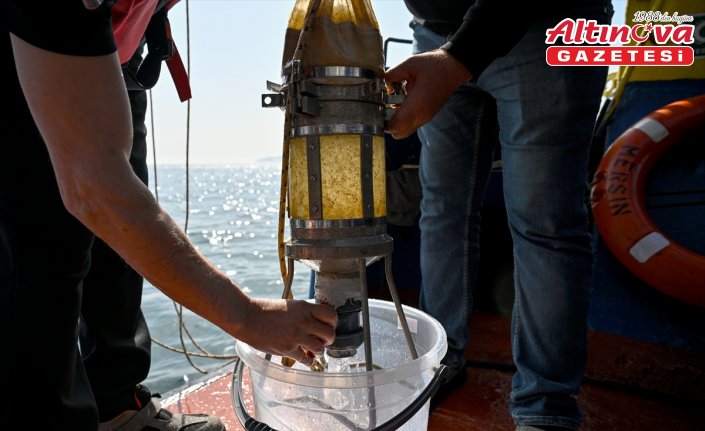 Marmara'nın müsilaj haritası 2021'e dönüş alarmı veriyor