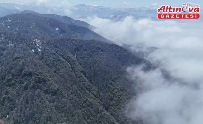 Ordu'da sis bulutu güzel manzara oluşturdu