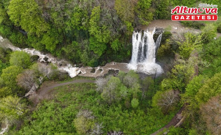 Ordu'daki Ohtamış Şelalesi karların erimesiyle canlandı
