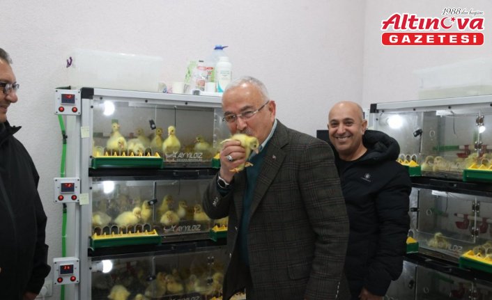 Ordu'dan Kars'a kaz satışı yapıldı