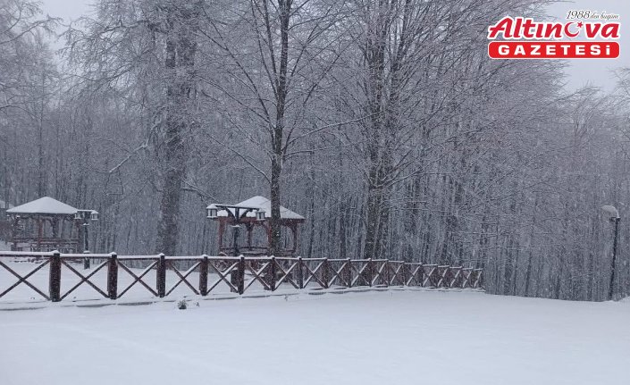 Ordu'nun yüksek kesimlerinde kar etkili oluyor