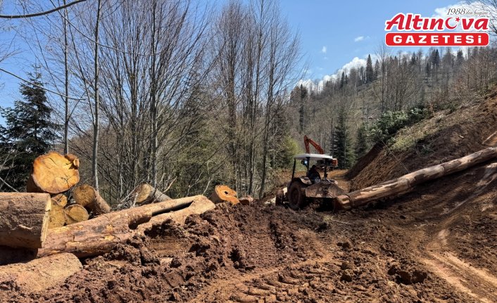 Orman işçileri dağ tepe demeden görev başında
