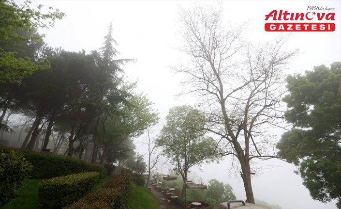 Orta ve Doğu Karadeniz'de hava ulaşımına sis engeli