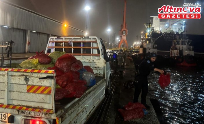 Samsun'da kaçak avlanan 2 ton midyeye el konuldu
