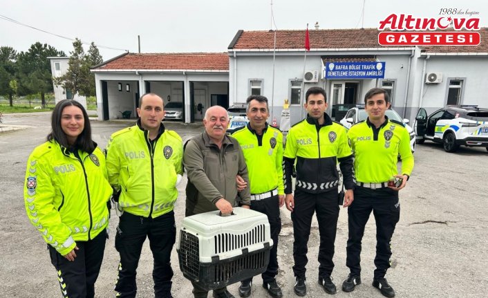 Bafra'da yaralı halde bulunan doğan koruma altına alındı