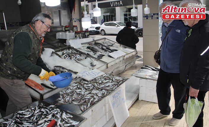 Sinopluların bu ramazan balık tercihi mezgit oldu