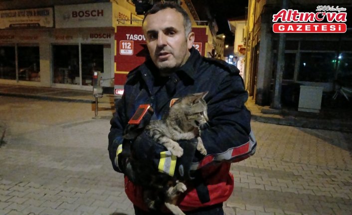 Taşova’da çatıda mahsur kalan kediyi itfaiye kurtardı
