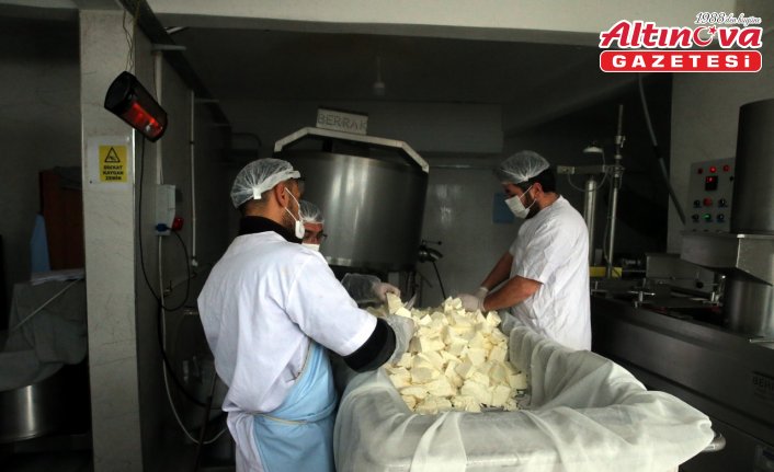 Tokat'ta beldeye kurulan süt işleme tesisi çiftçiye pazar oldu