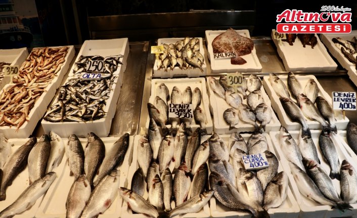 Trabzon'da mezgit ve istavrit kilogramı 250 liradan satılıyor