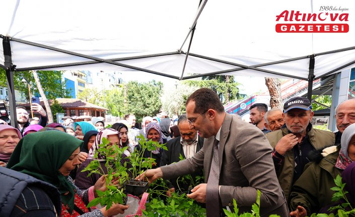 Akçaabat'ta ücretsiz 10 bin sebze fidanı dağıtıldı