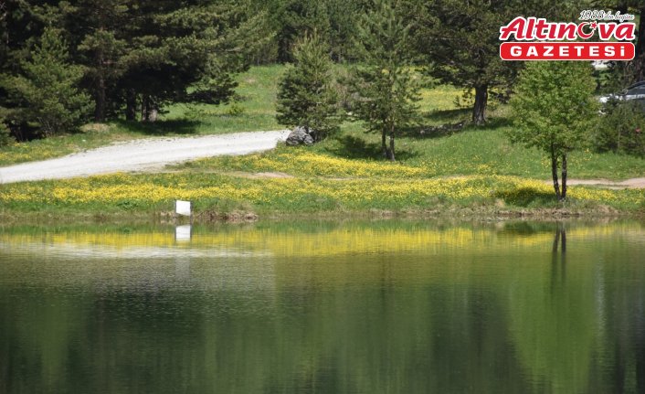 Altınpınar Limni Gölü turizm sezonunun ilk misafirlerini ağırlıyor