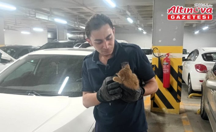 Amasya'da otomobilin motor bölümüne sıkışan kedi yavrusunu itfaiye kurtardı