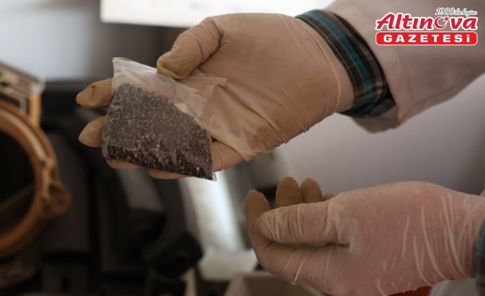 Atık çay lifleri plastiğe alternatif malzemeye dönüşüyor