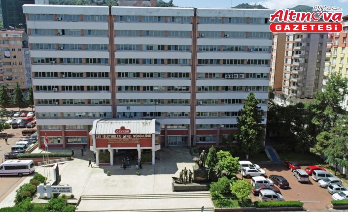 ÇAYKUR'da 2025 yaş çay kampanyası açıldı