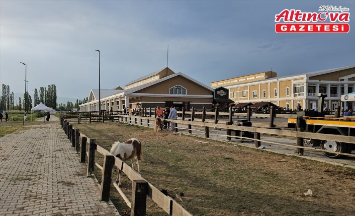 Çorum'da “Uluslararası Atlı Dayanıklılık Yarışması“ yapıldı