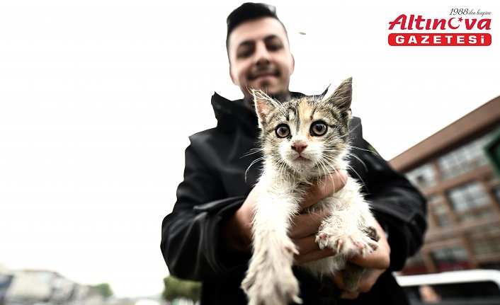 Düzce'de dereden kurtarılan kedi yavrusunu taksici sahiplendi