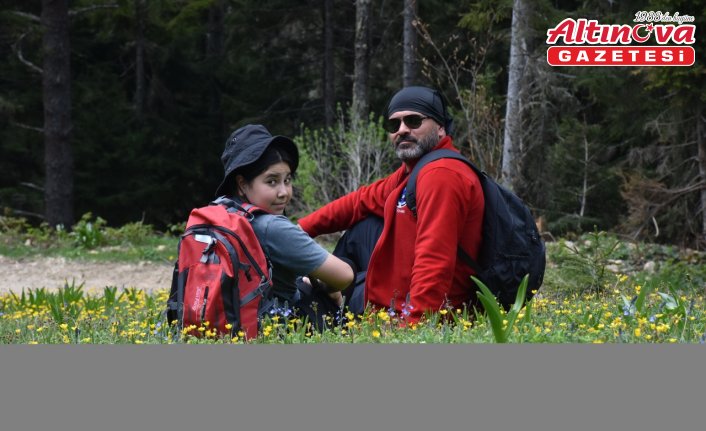 Gümüşhane yaylaları doğaseverleri ağırlamaya başladı