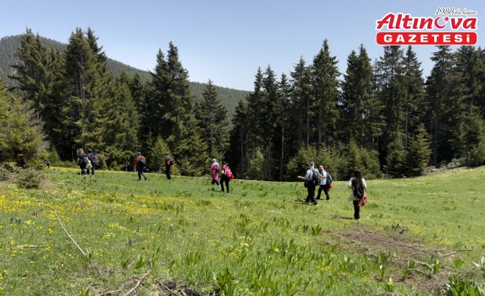 Gümüşhane'de doğaseverler yaylalara ilgi gösterdi