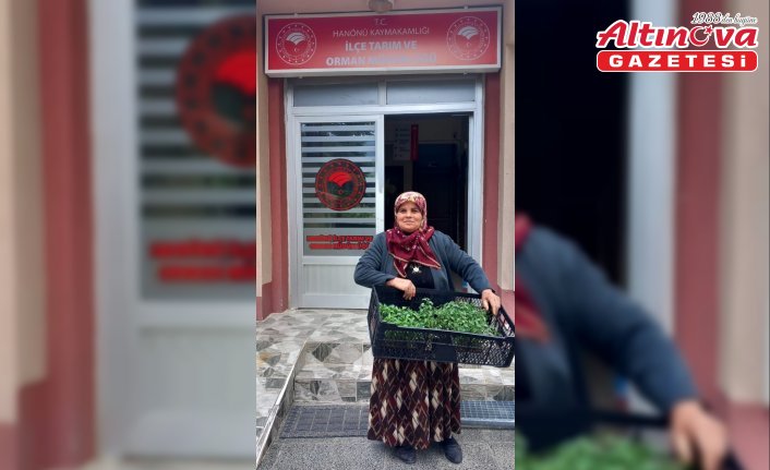 Hanönü'de 25 bin fide dağıtıldı