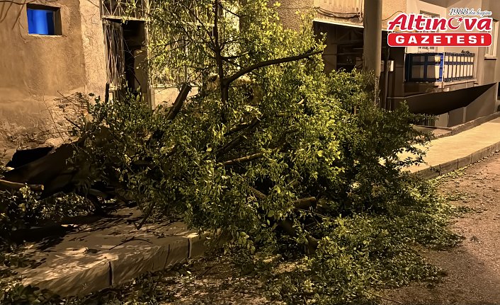 Karabük'te kuvvetli rüzgar etkili oldu