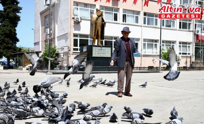 Karadenizli ihtiyar delikanlı, güvercinleri beslemeyi bir gün bile aksatmıyor