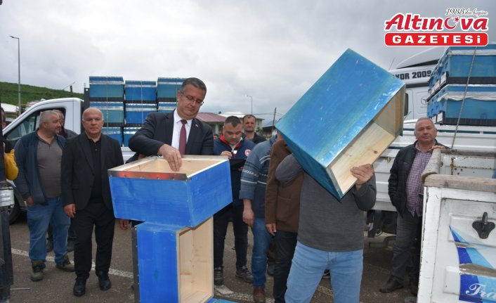Ordu'da 48 üreticiye 2400 arılı kovan desteği verildi