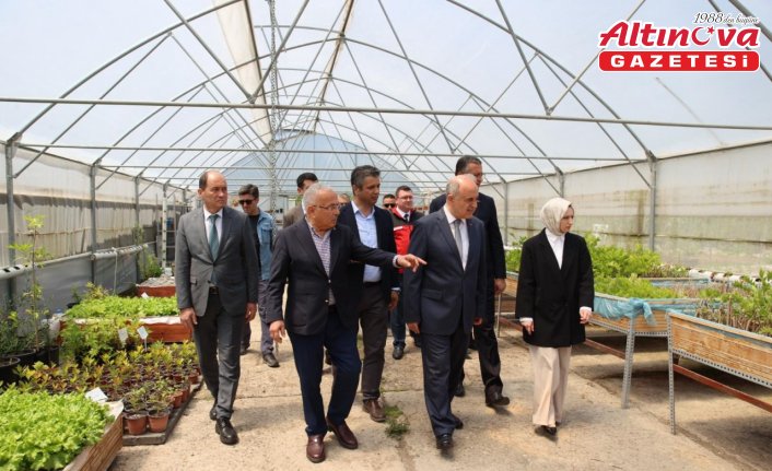 Ordu'da Biyoinovasyon Merkezinde tarıma yönelik çalışmalar sürüyor