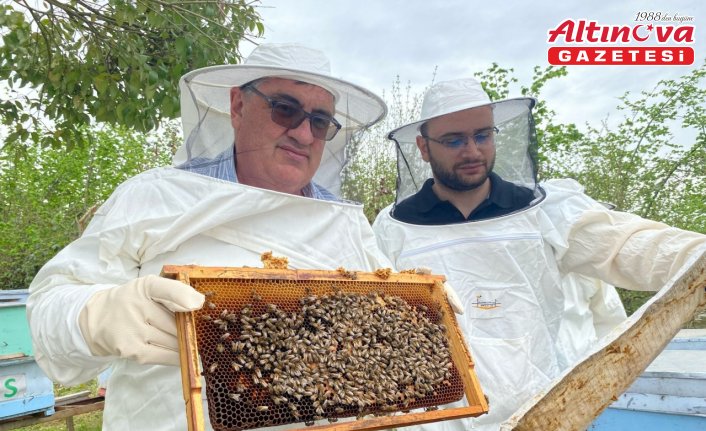 Ordu'daki arıcılık enstitüsünde 30 ülkeden gelen arıcılara eğitim verildi