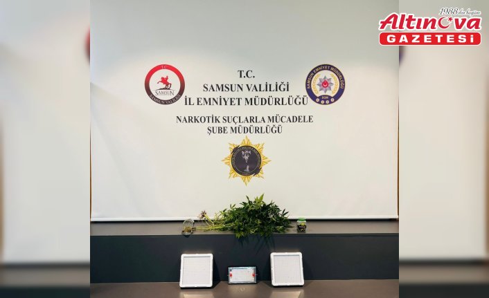 Samsun'da evde kurdukları serada kenevir yetiştiren 2 kişi gözaltına alındı