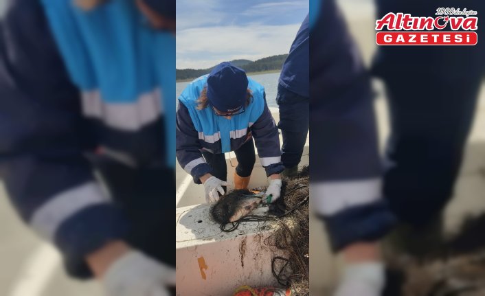 Seben Gölü'nden 500 metre hayalet ağ çıkarıldı