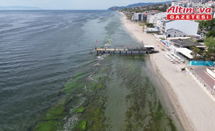 Tekirdağ'da “mavi bayraklı“ plaj sayısı 10'a yükseldi