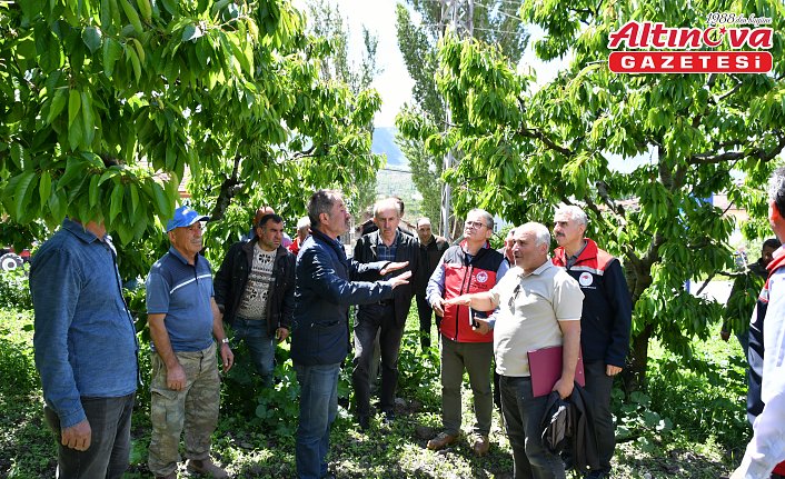 Tokat'ta yaşanan zirai don sonrası toplantı yapıldı