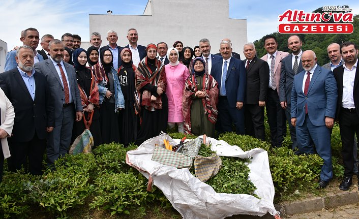 Trabzon'da 2025 yaş çay sezonu kampanyası açıldı