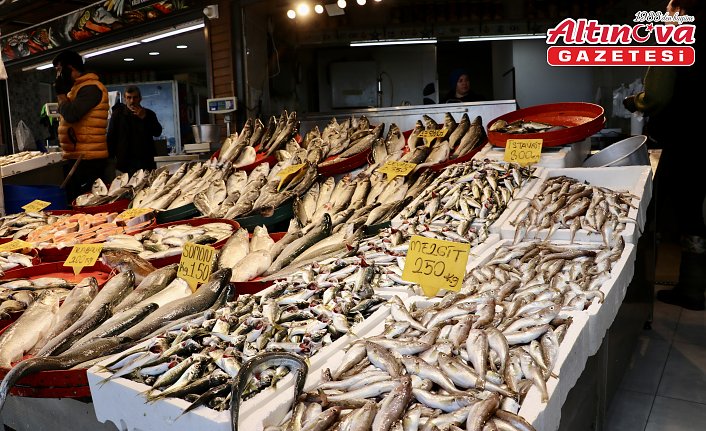 Trabzon'da tezgahlarda istavrit ve mezgit rağbet görüyor