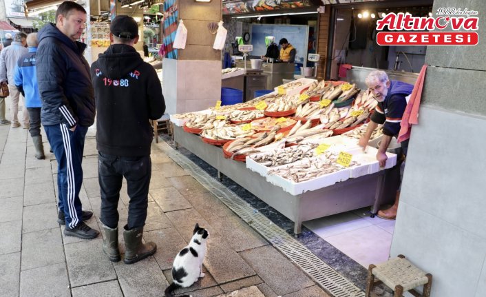 Trabzon'da balıkçı tezgahlarında çeşitlilik sürüyor