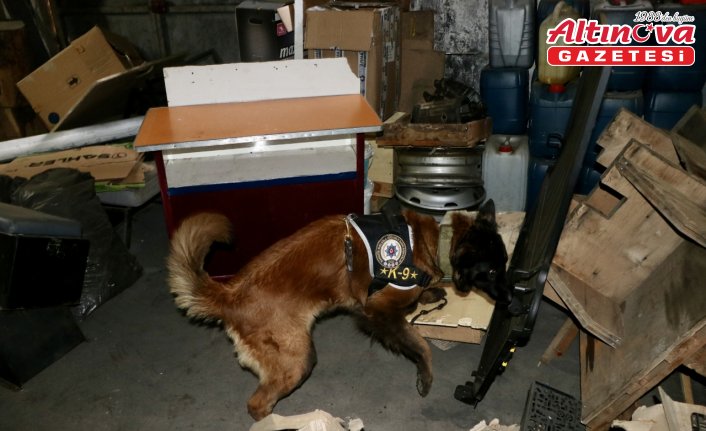 Trabzon'da hassas burunlar “Maya“ ve “Liya“ uyuşturucuyla mücadelede önemli rol alıyor