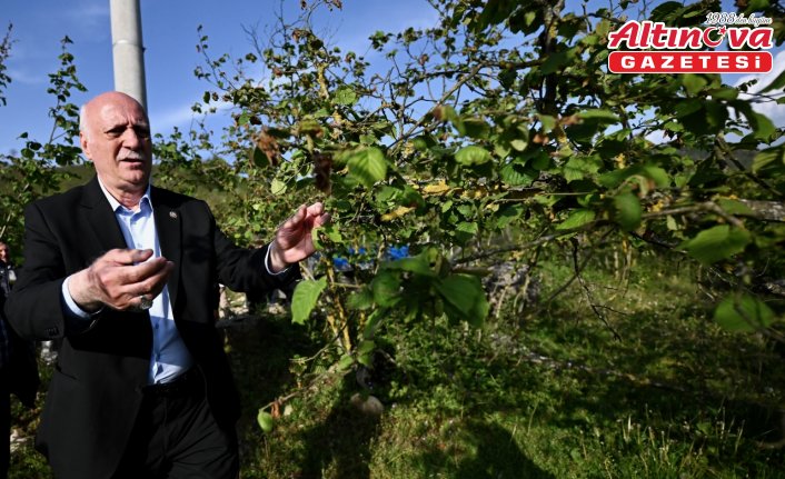 TZOB Genel Başkanı Bayraktar, Düzce'de çiftçilerle buluştu